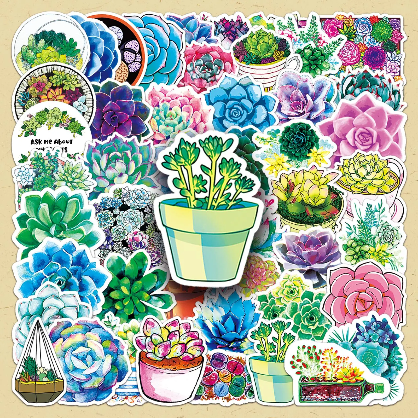 Succulent Plant Pattern Sticker, 50pcs/set Creative Cute Decorative Sticker, DIY Decals for Water Bottle, Laptop, Phone Case, Scrapbooking, Journal Making