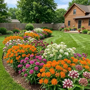 Milkweed Seeds for Planting Outdoors – Heirloom Perennial Wildflower Mix for Monarch Butterflies, Pollinator Garden Seeds for Bees & Birds, High Germination Variety Pack