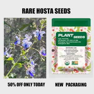 Plant Seeds Purple Hosta Rotheca Myricoides Seeds Stunning Perennial Beauty for Easy Outdoor Gardening All Seasons Non-GMO Hummingbird Attracting Plants for Family Friendly Gardening Resealable Moisture-proof Bag