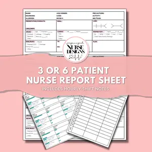 Nurse Report Sheet with Hourly To Do List - 3 & 6 Patient Nurse Brain
