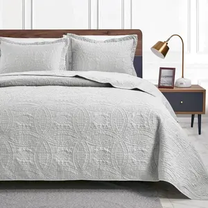 Quilts for Queen Bed Light Grey Bedspreads Bedding Set - Summer Lightweight Quilted Bedspread Comforter - Coin Pattern Bedding Coverlet for All Season - 3 Pieces (1 Quilt, 2 Pillow Shams)