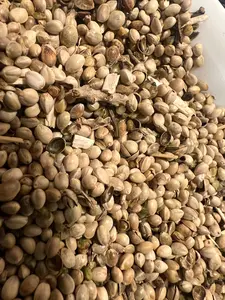 Ripkitty Premium Hull-Free Avian Hemp Feed – Organic High-Protein Wild Bird & Poultry Blend