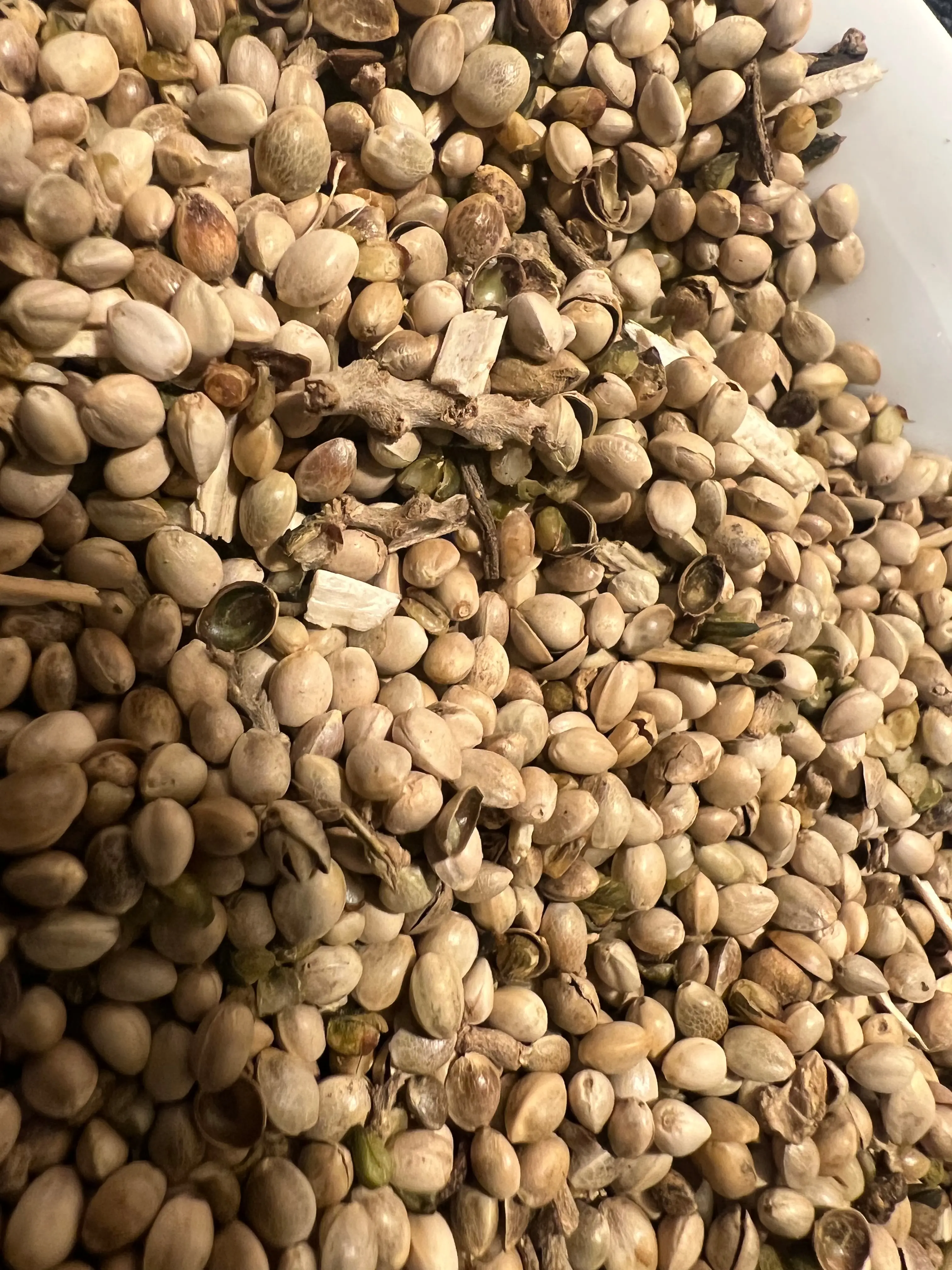 Ripkitty Premium Hull-Free Avian Hemp Feed – Organic High-Protein Wild Bird & Poultry Blend