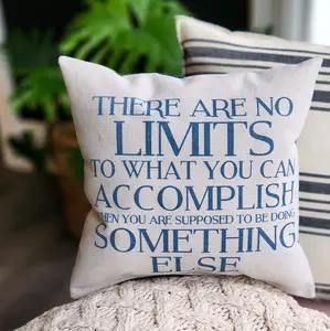 Wit & wisdom tiny pillow- There Are No Limits