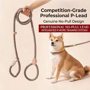 Professional Sliding Dog Leash, No-Pull Training Leash for Small and Medium Dogs, Adjustable Shock Absorbing Design