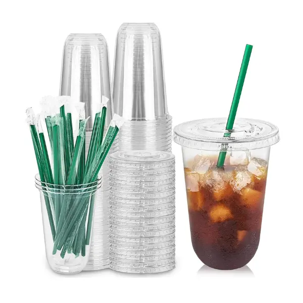 25 Set 16oz Plastic Cups with Flat Lids and Straws,Disposable Plastic Iced Coffee Cup,Disposable Clear Drinking Cups for Cold Beverages,Milkshakes,Smoothies