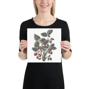 Botanical Strawberry Poster
