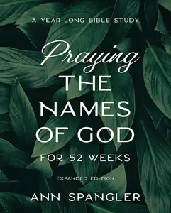 Praying the Names of God for 52 Weeks with Bonus Tear-Out Cards: A Year-Long Bible Study