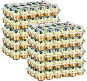 24 Pack x 10 Sets Plastic Disposable Cupcake Containers - Stackable Clear Cupcake Boxes Holder Carrier with High Tall Dome Lid