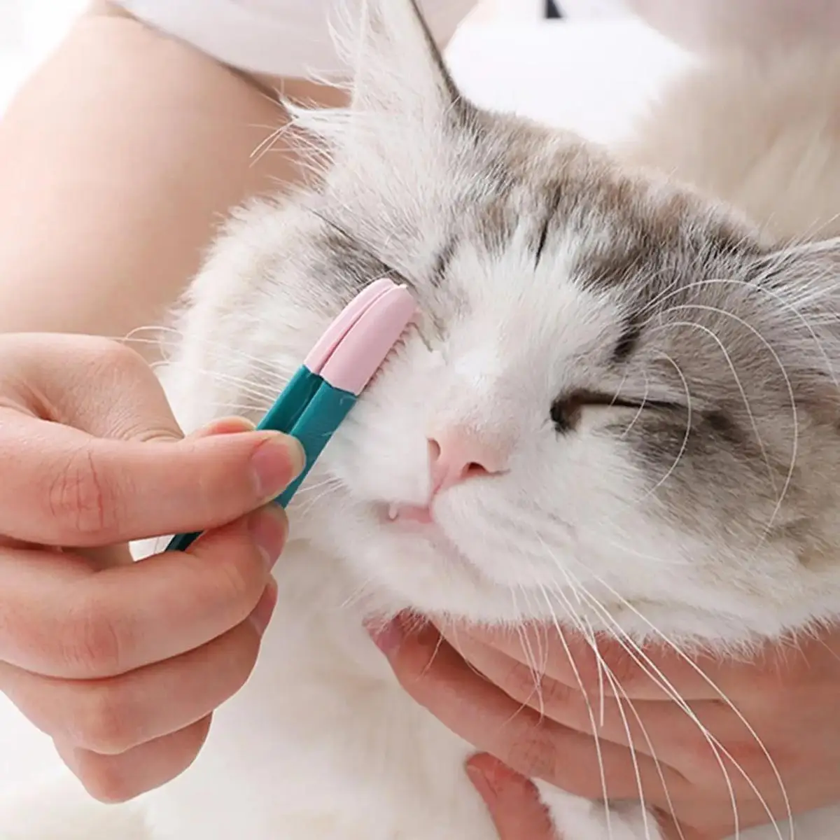 Pet Eye Cleaning Brush, Silicone Pet Grooming Brush, Pet Hair Removing Brush, Dog & Cat Grooming Supplies