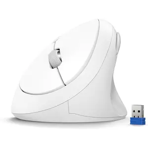 , 5 Adjustable DPI Levels, 6 Buttons, 4800 DPI  Vertical , 2.4G Silent   for Laptop, PC, Chromebook,  - Light White