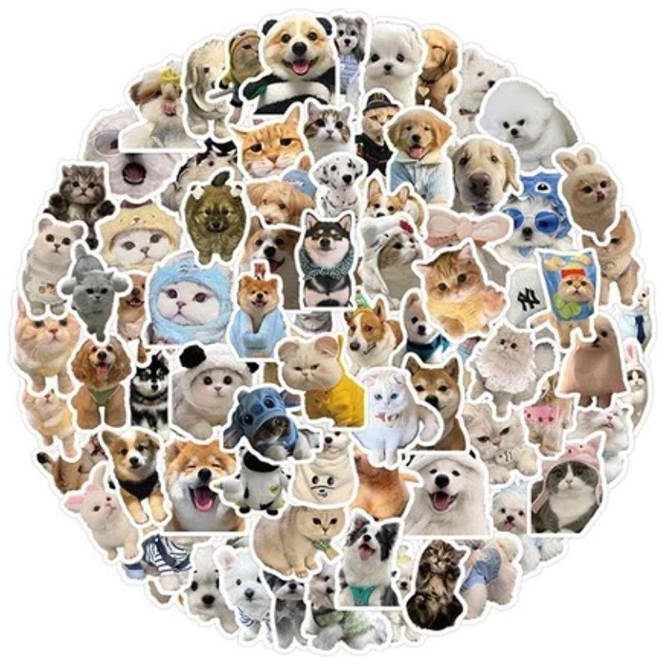 Random Funny Stickers for Adults Waterproof Vinyl Sarcastic Meme Decals for Laptop Water Bottle Hard Hats  Kindle Journal Scrapbook Bumper Skateboard Luggage No Repeats