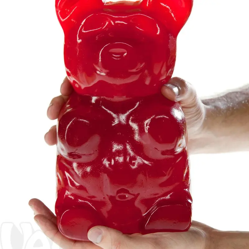 The Giant 5-Pound Gummy Bear - Multiple Flavors, Big Gummy Foods, Candy Snack Challenge, Made In USA