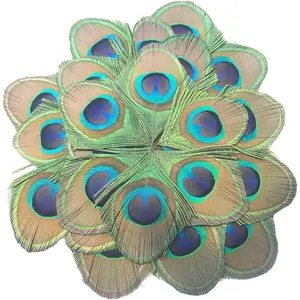 30 count Peacock Feathers, Green Peacock Eye Feathers for DIY Crafts Art, Trimmed Feathers for DIY  Hair Accessories Carnival Revelry Masquerade Costume Wedding Holiday Party Decoration