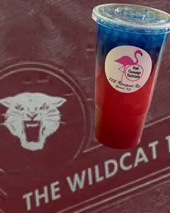 Wildcat Loaded Tea - Blue Blast & Tropical Punch, 298mg Caffeine, Less than 1 Carb, 3.75 Calories, 0 Sugar Beverage