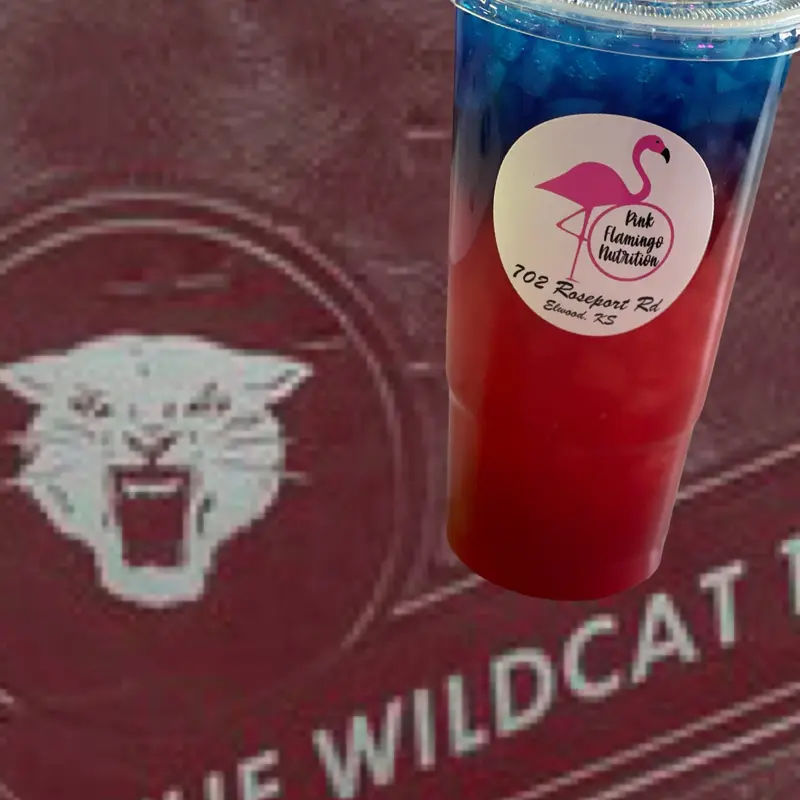 Wildcat Loaded Tea - Blue Blast & Tropical Punch, 298mg Caffeine, Less than 1 Carb, 3.75 Calories, 0 Sugar Beverage
