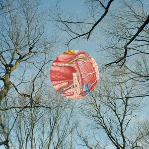 They Might Be Giants - Glean [Red Vinyl] NEW Vinyl Record 738582016712