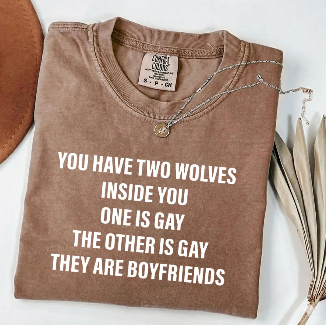 Comfort Colors You Have 2 Wolves Inside You Shirt, Funny Gay Pride Tee, LGBTQ Couple Gift, Sarcastic Queer Tee, Meme Top