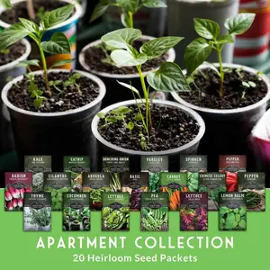 Apartment Kit Seed Vault - 20 Container Friendly Varieties Including Chinese Celery Marconi Red Pepper & Buttercrunch Lettuce