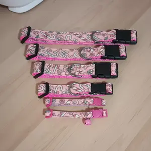 Pink Candy Cane Floral Dog & Cat Collar