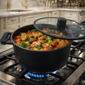 Dream Home Collection 4.2QT Die-Cast Aluminum Non-Stick Casserole Pot with Spruce Steamer Insert & Tempered Glass Lid