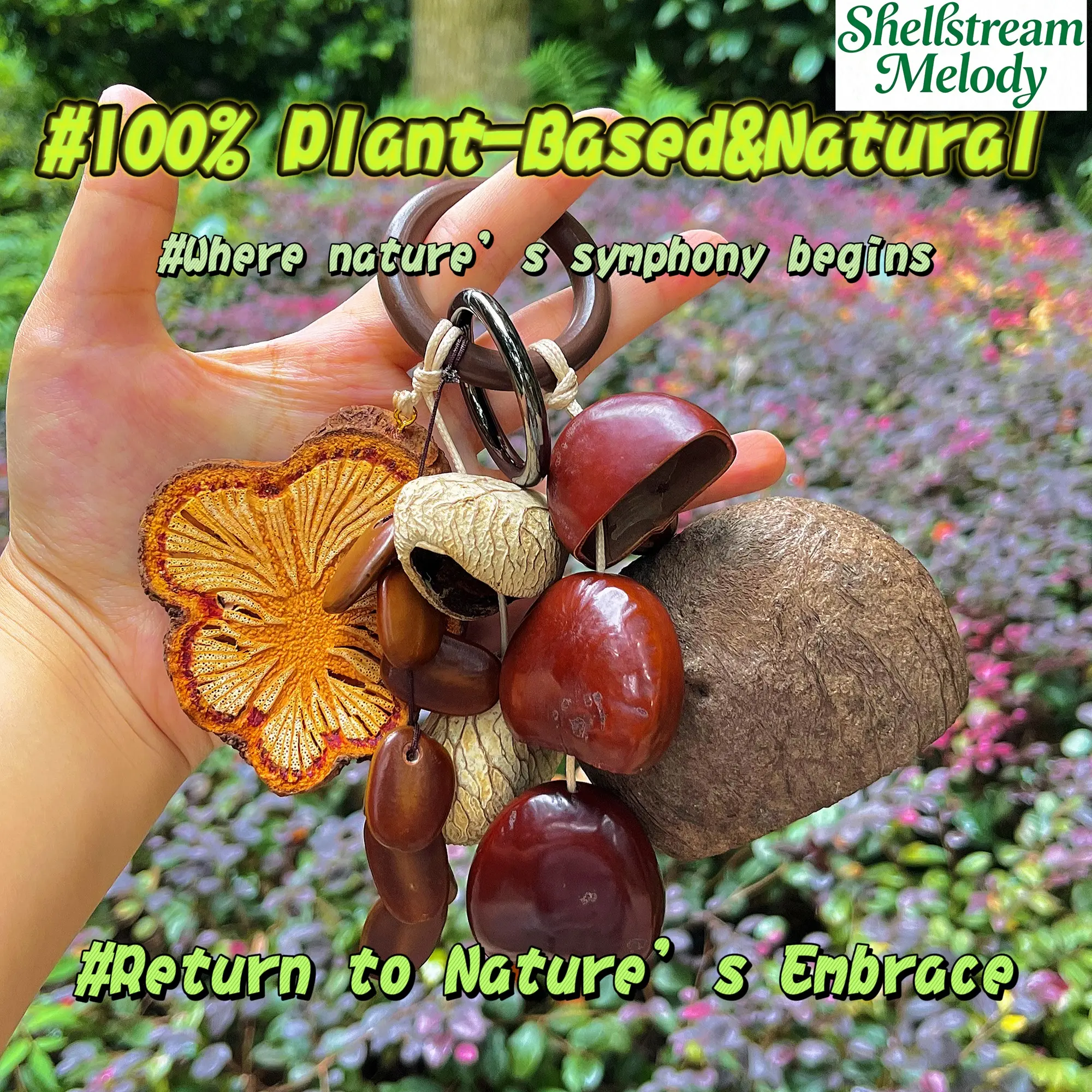 Handmade DIY Ornament, Shell Nut Jewelry, ASMR Craft, Stream River Sound accessory, Natural Decor