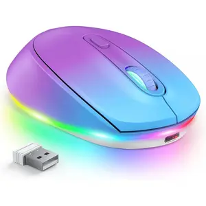 , Rechargeable Light Up  for Laptop, Small Cordless Mice with Quiet Click LED Rainbow Lights for PC Computer Chromebook Windows , Blue &Purple