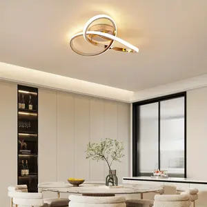 Modern LED ceiling light, 24W LED ceiling light, minimalist spiral ring recessed light, 3-color dimmable ceiling light, suitable for corridors, bedrooms, and kitchens, Home Decor Lighting