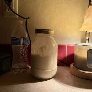 Bucky - Live Active Sourdough Starter 35 Grams for Baking Authentic Healthy Bread - Made in USA - Easy to Use for Beginners & Experienced Bakers Flour