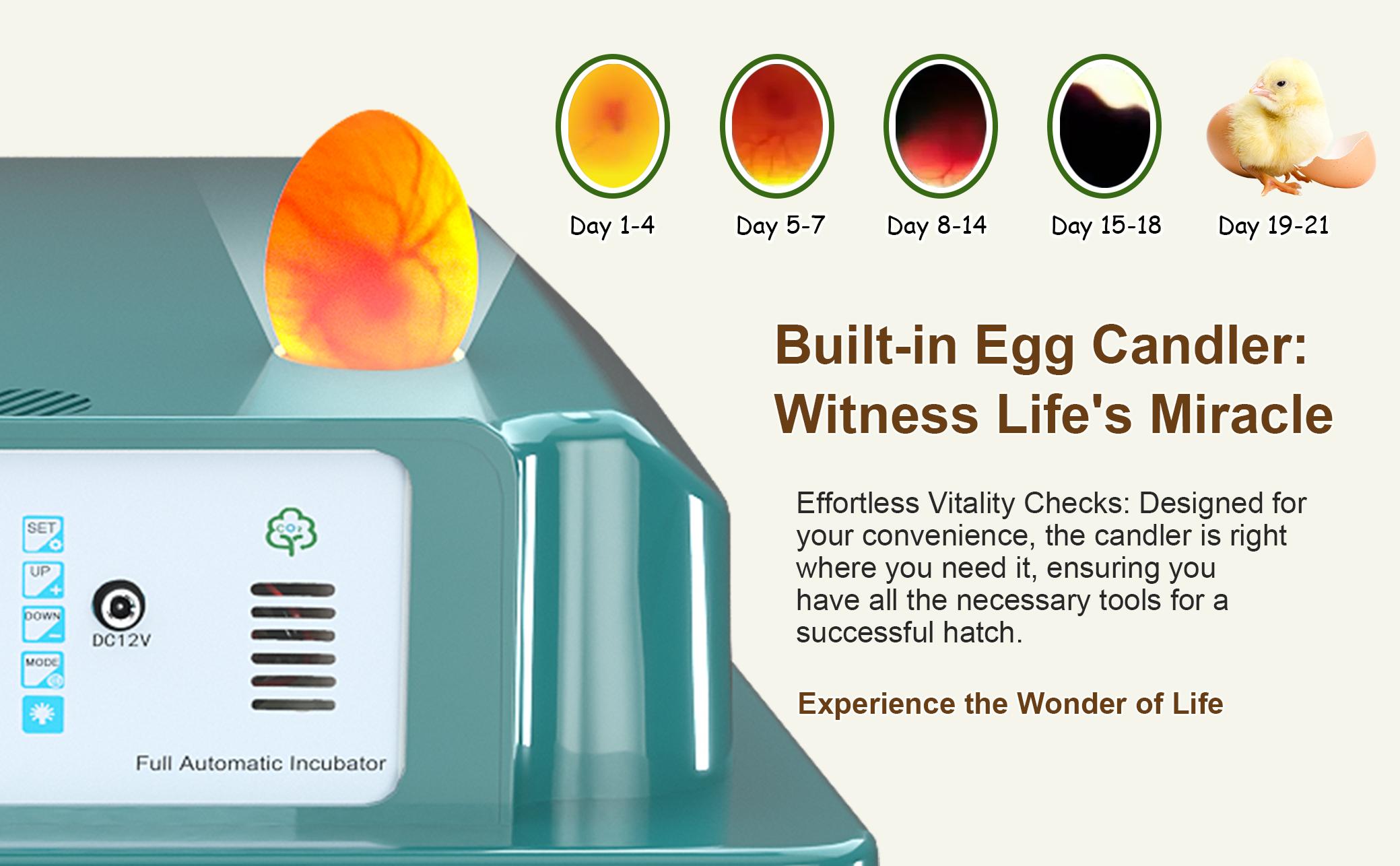 2026 Upgraded Automatic Egg Incubator Multiple Capacities, Intelligent Digital Hatcher with Auto Turning & Temp Humidity Control for Chicken Duck Quail 2026 Upgraded Automatic Egg Incubator Multiple Capacities, Intelligent Digital Hatcher with Auto Turning & Temp Humidity Control for Chicken Duck Quail
