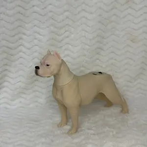 Digital Speaker for Audio Entertainment with Smartphone Compatibility