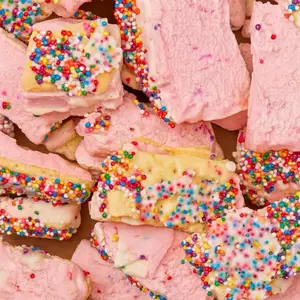 Freeze Dried BIRTHDAY CAKE W/ SPRINKLES Ice Cream Sandwich Bites - Viral TikTok Snack - Halloween