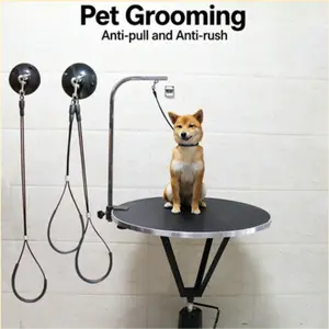 Suction Cup Pet Bath Shower Restraint, 1 Count Professional Pet Shower Leash, Dog & Cat Grooming Accessories for Dogs & Cats