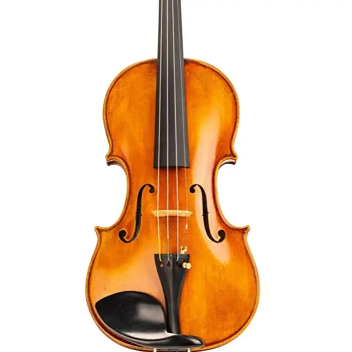 D Z Strad Violin - Model 700 - Light Antique Finish with Dominant Strings, Case, Bow and Rosin