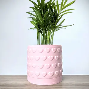 ChiclyBuilt Heart Pattern Plant Pot with Matching Drain Tray