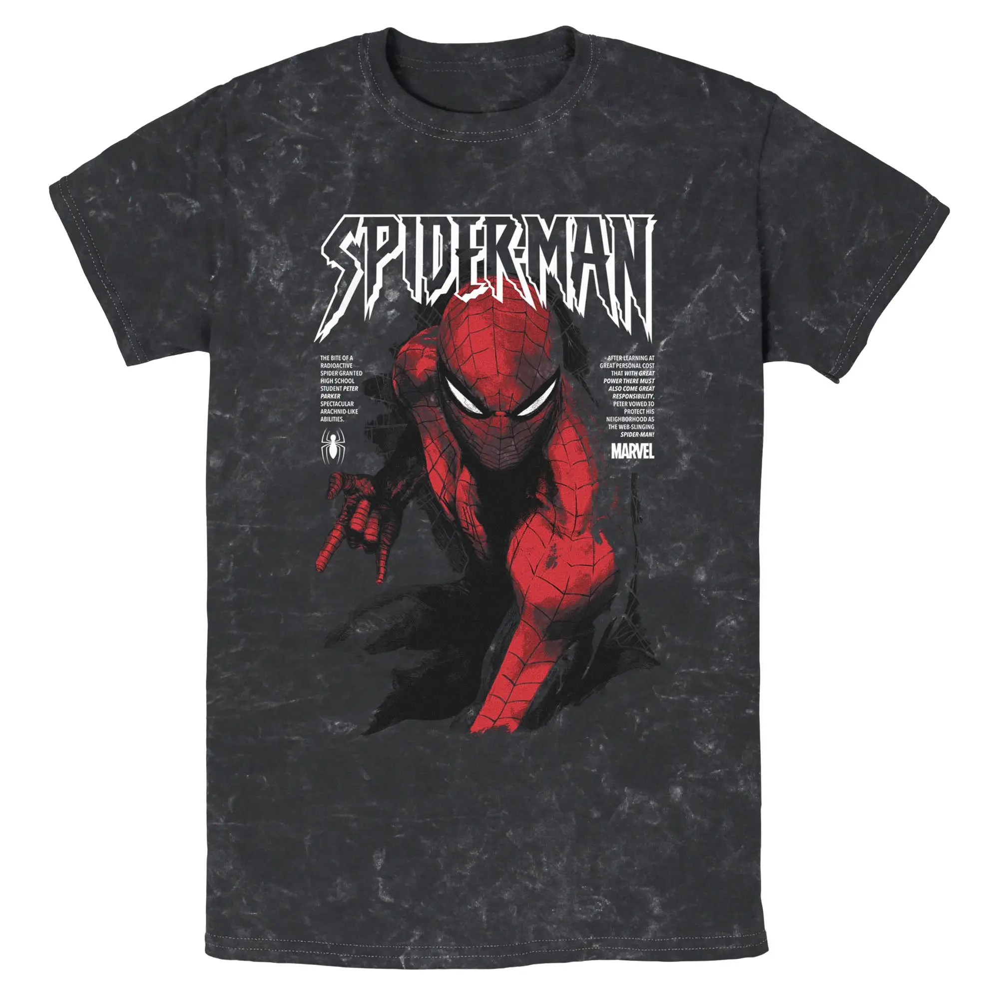 Marvel: Spider-Man Classic Painting Mens T Shirt