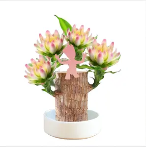 6#Brazilian Lucky Wood Doll with Base for Luck and Wealth,Easy to Grow Indoors,Decorative Ornament for Luck and Wealth