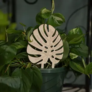 Monstera Leaf Plant Trellis