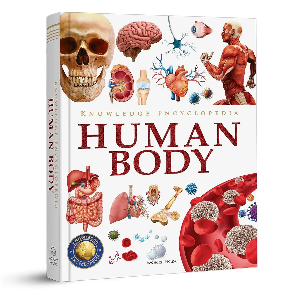Knowledge Encyclopedia: Human Body (Knowledge Encyclopedia For Children) Hardcover – November 20, 2022