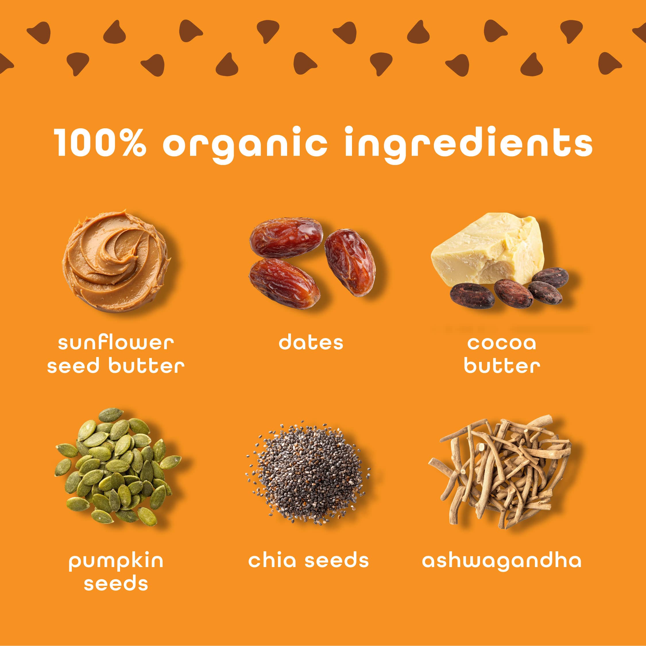 Feel Bars – Vegan Protein Bars | Sunny Buddy – 10 Pack | 15g Plant Protein | Ashwagandha | Keto | Organic | Gluten Free, No Nuts, No Soy, No Dairy, No Grains