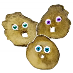 Freeze Dried Big Dill Pickle Chips