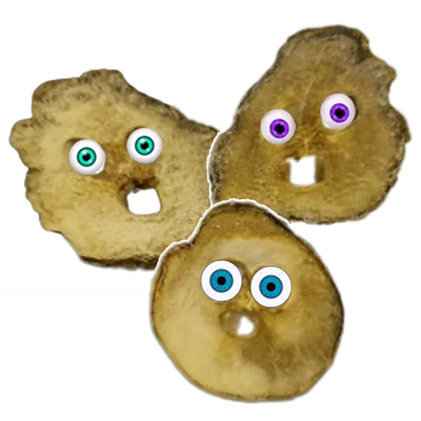 Freeze Dried Big Dill Pickle Chips