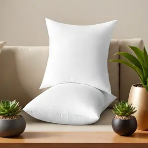 2-Pack Soft & Fluffy Decorative Throw Pillows - Square Couch Cushions for Living Room, Bedroom & Outdoor, Comfy Accent Pillows (20x20 Inch)