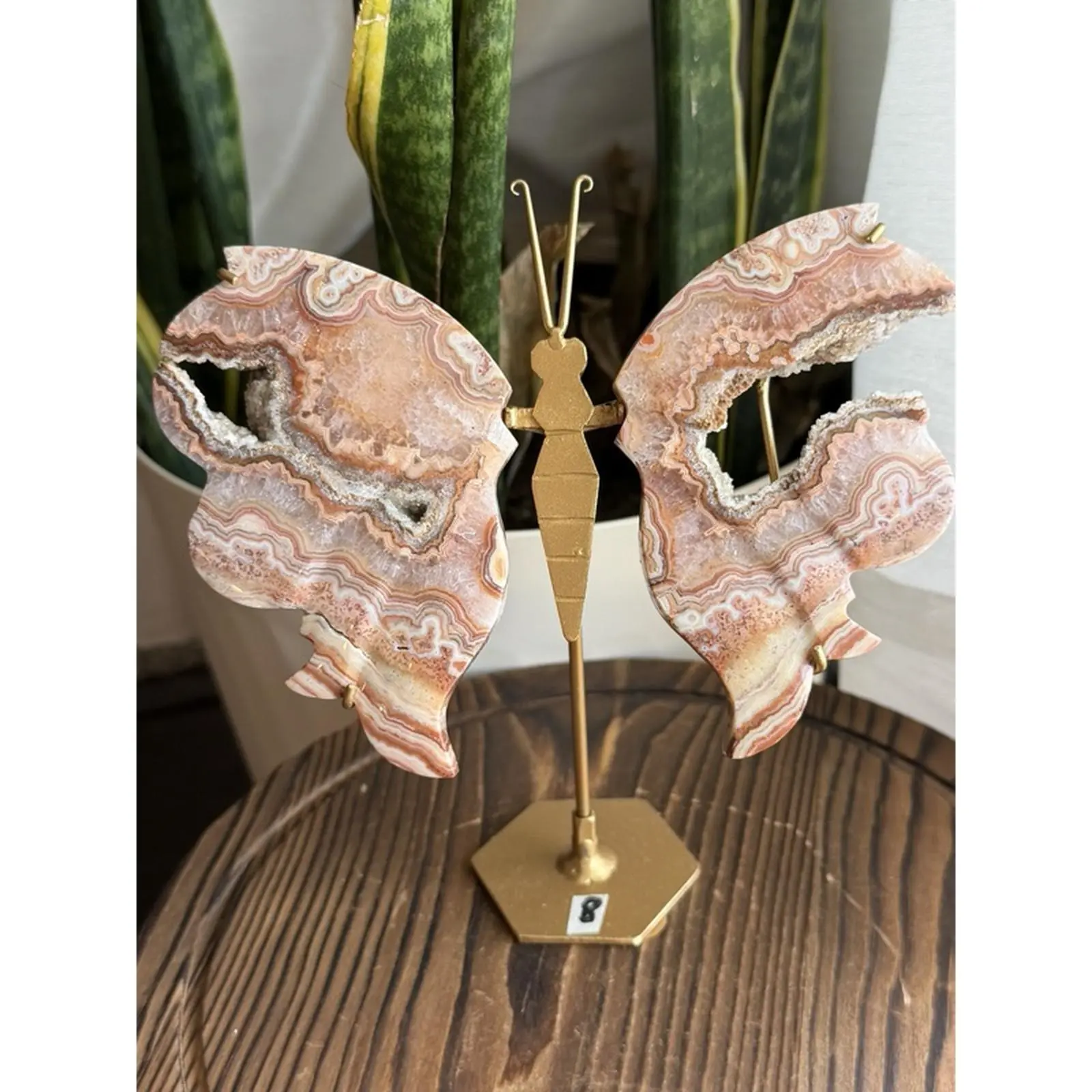 Crazy Lace Agate Butterfly Carving from Indonesia with Stand - Unique Decorative Piece