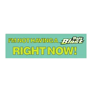 I'm Not Having a Baja Blast Right Now Funny Meme Bumper Sticker and Magnet