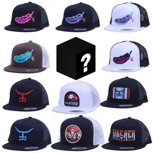 [BEST 2026] One Hat Box Sent, Embroidered Hat Feather Rancher Hat, Outdoor Cap Gift Box for Men & Women