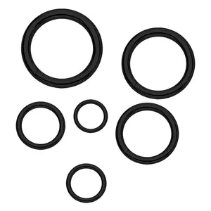 Black G23 Titanium Segment Ring Hinged Clicker Earrings Cartilage Piercing Jewelry