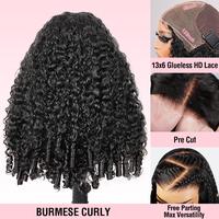 Burmese Curly