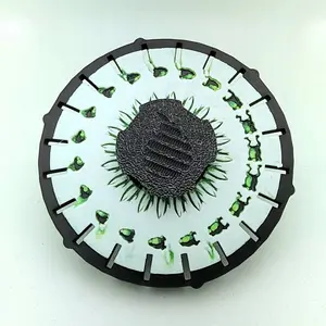 Phenakistoscope Frogs Animated Zoetrope (Please Read Description Before Purchase for How To: Viewing Instructions)