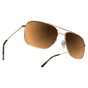 Navigator - Amber Gold Polarized